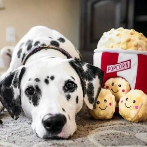 Fun Popcorn Dog Toy Set - Red and White